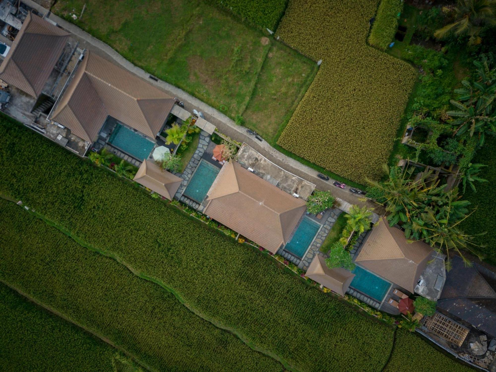 Happy Honeymoon Private Villa Ubud Exteriör bild