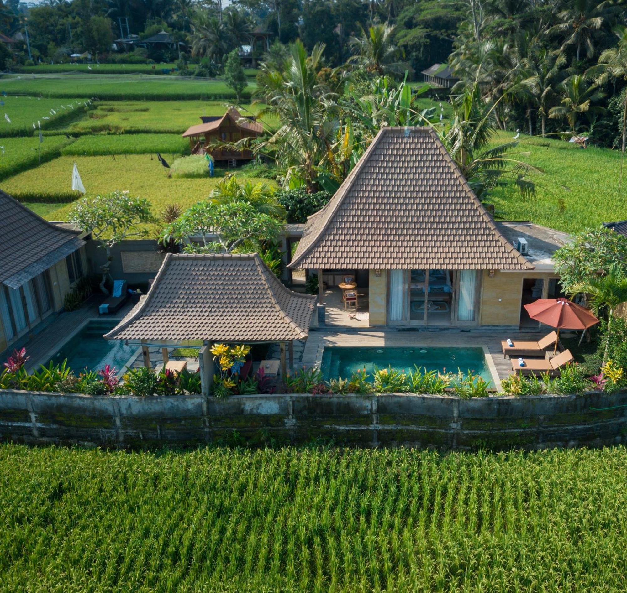 Happy Honeymoon Private Villa Ubud Exteriör bild